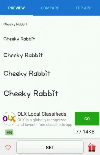 edit font AccessGo 4E
